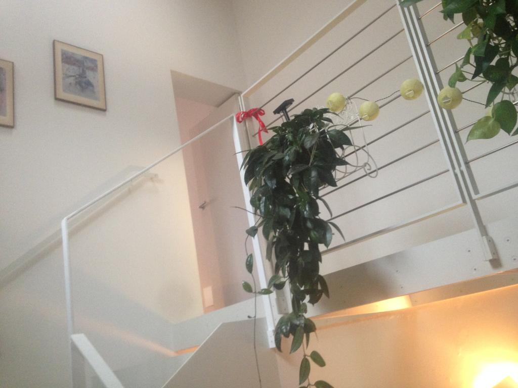 La Casina Lägenhet Parma Exteriör bild